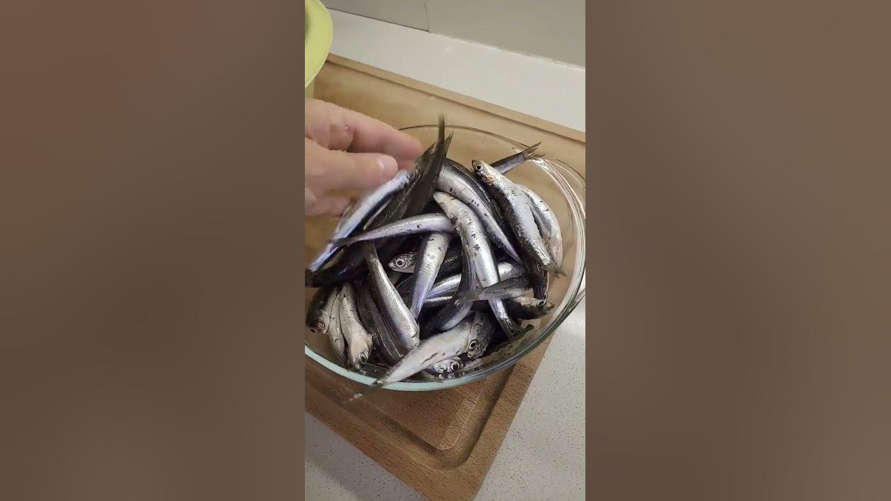 Как готовить кильку в томатном соусе в домашних условиях