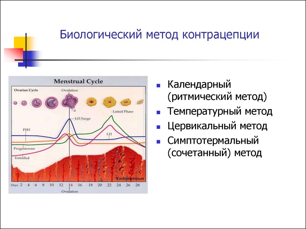 Мы ответим на все вопросы о женском здоровье