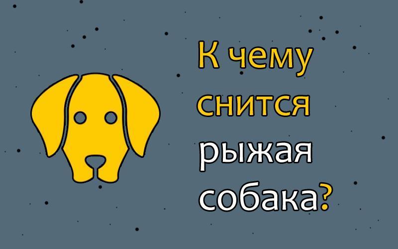 Собака олицетворяет преданность, надежность и защиту Это верный друг по жизни, готовый пожертвовать собой ради любимого хозяина Однако в сновидениях имеет