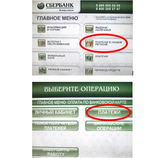 Все способы узнать реквизиты карты сбербанк