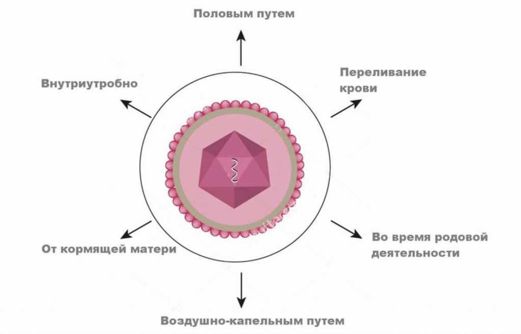 Генитальный герпес у женщин