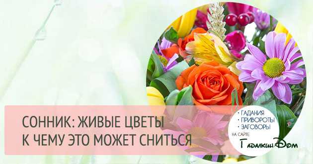 К чему снятся цветы женщине? сонник цветы