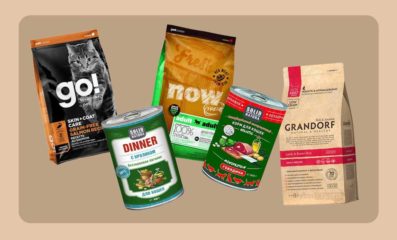 Кошачий корм: рейтинг продуктов для кормления кошек и котят от эконом- до супер-премиум-класса