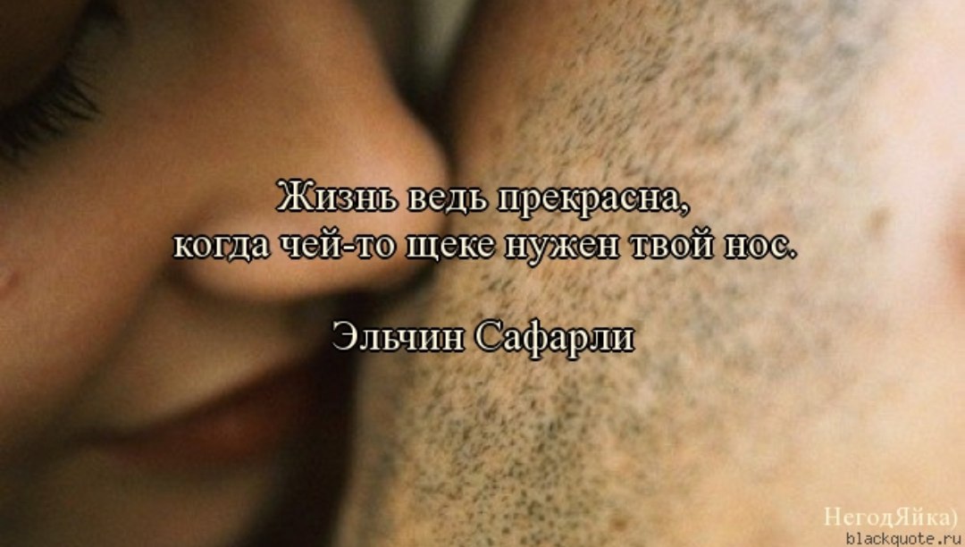 10 примет о птицах, предвещающих беду