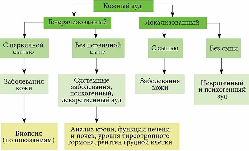 Наше тело очень чутко реагирует на любые внешние раздражители И бывает, что без всяких на то причин начинает либо что-то чесаться, либо ощущается необъяснимое