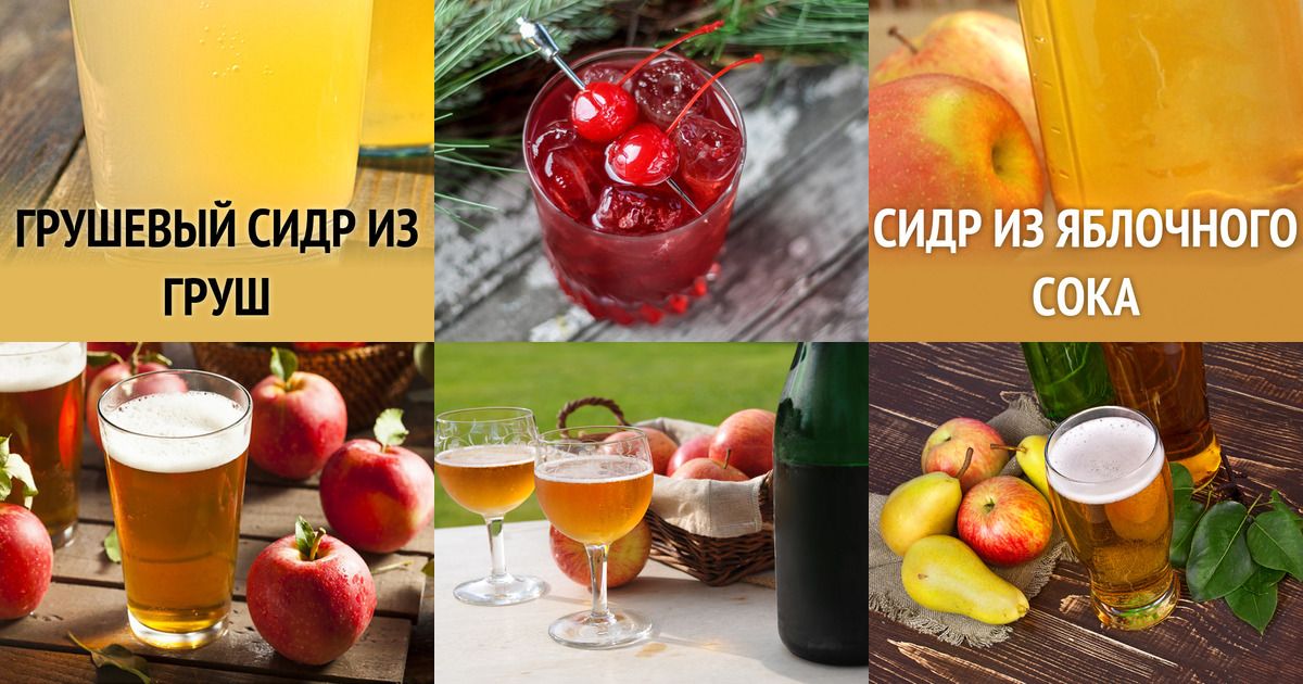 Грушевое вино в домашних условиях для начинающих