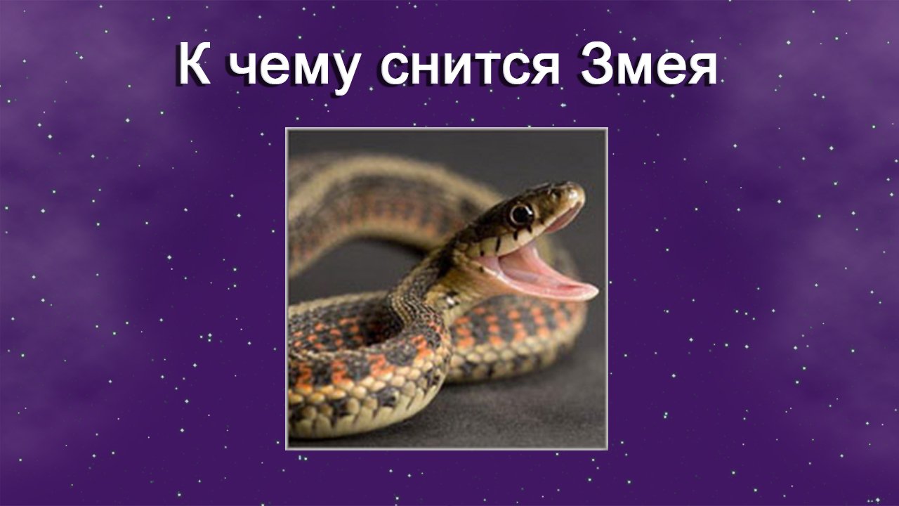 Как отличить вещий сон от обычного