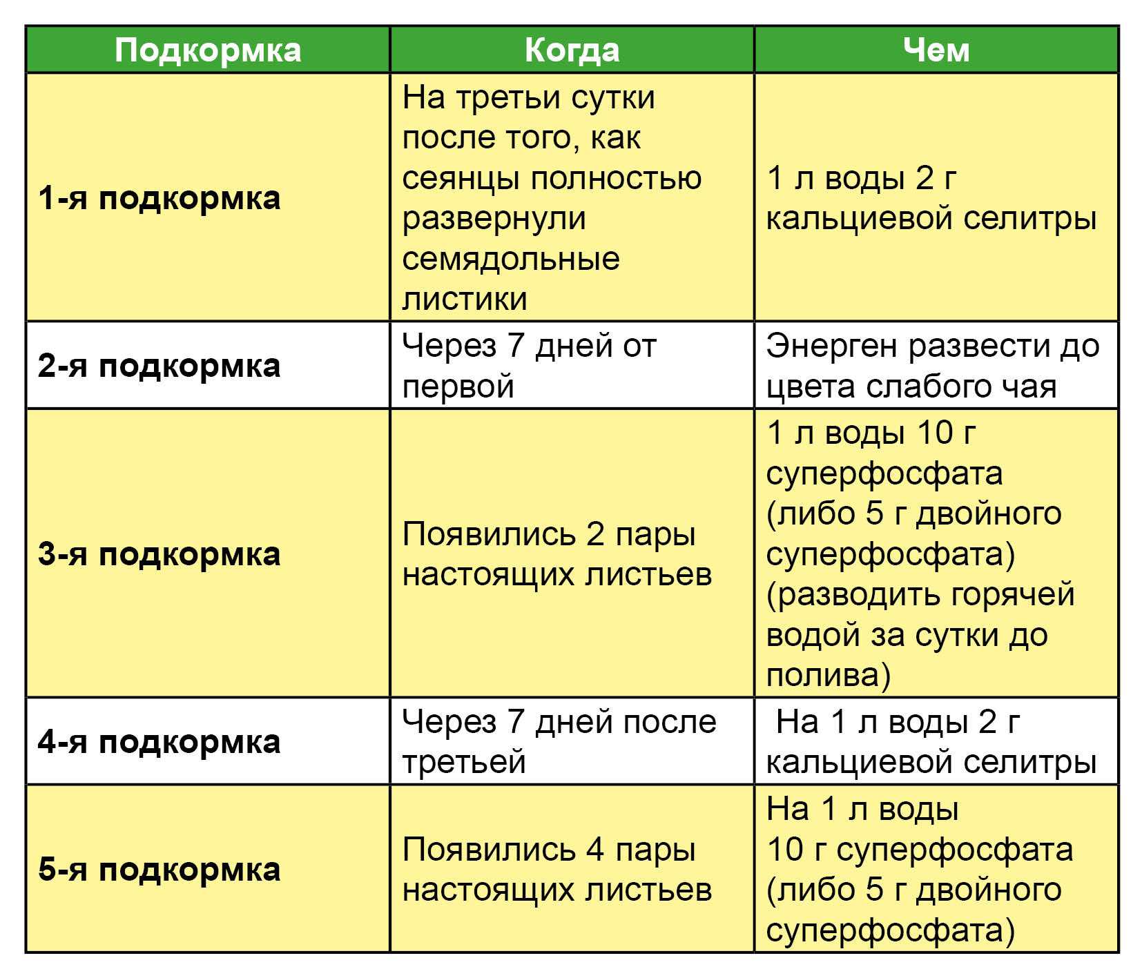 Чем покормить рассаду помидоров, чтобы были толстенькие