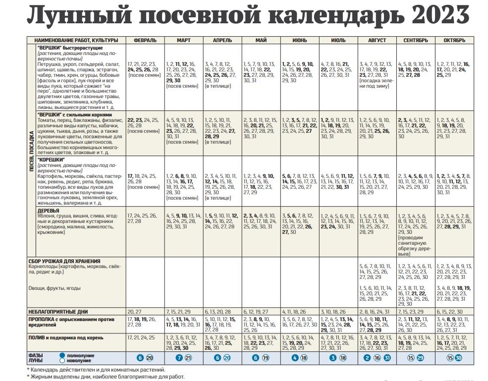 Когда солить капусту в октябре 2021 по лунному календарю: благоприятные дни