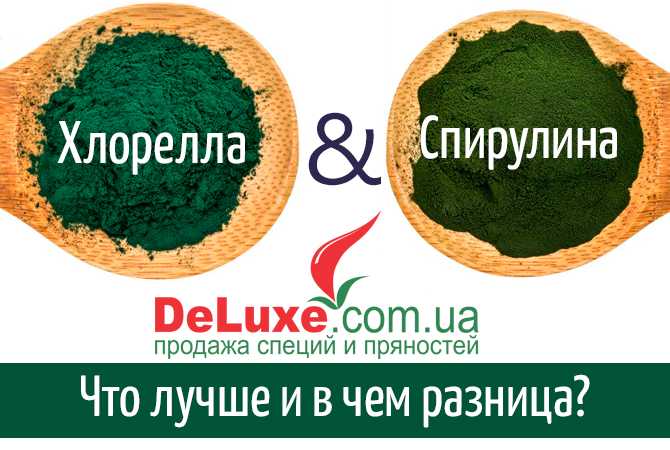 Микроскопическая водоросль хлорелла | статья в журнале «молодой ученый»