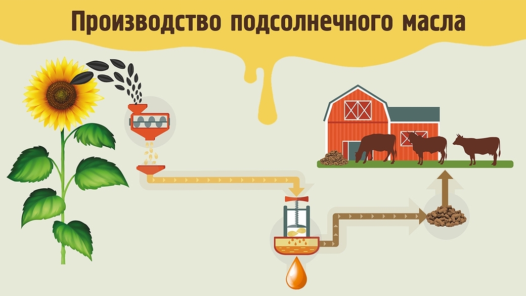 Как делают рафинированное и гидрогенизированное масло | macroeffect