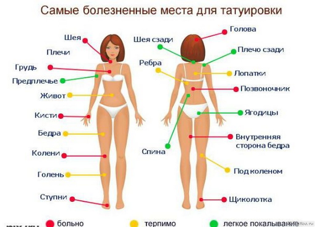 Как определить свой индивидуальный болевой порог - методы и тесты - gidvopros.ru