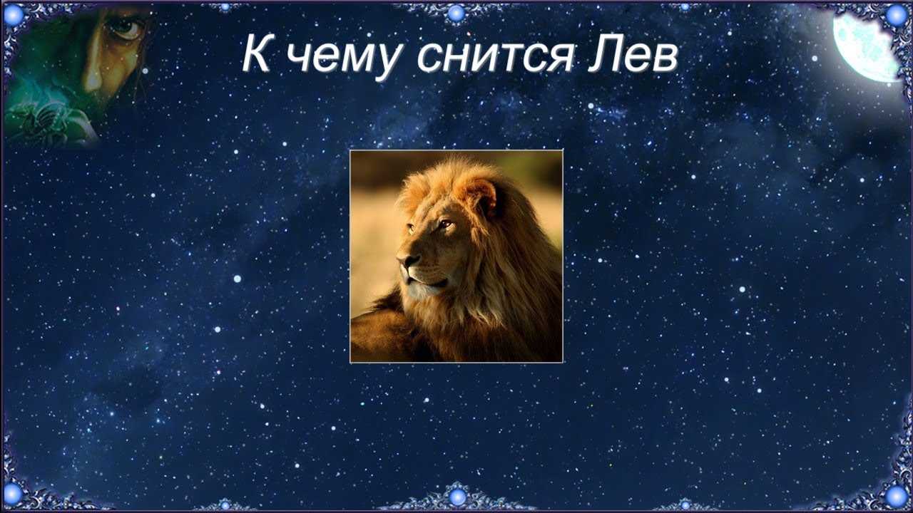 Сонник миллера лев