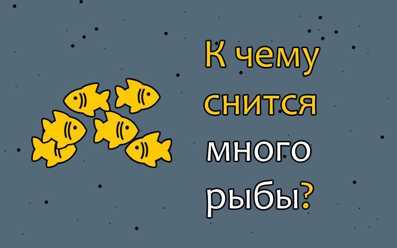 К чему снится сушеная рыба: различные предзнаменования