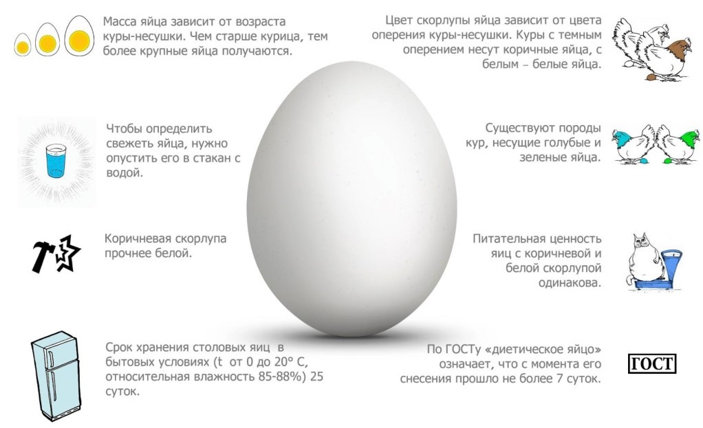В чем польза и вред перепелиных яиц для мужчин?