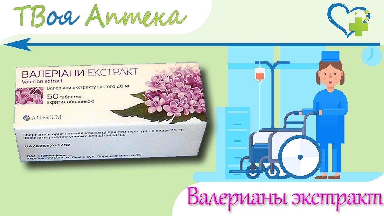 Валерьянка: вред и польза от приема для организма человека