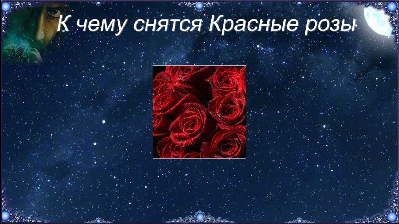 К чему снятся розы (красные, белые, розовые, чёрные и другие): девушке, женщине, лепестки или букет - толкования различных сонников