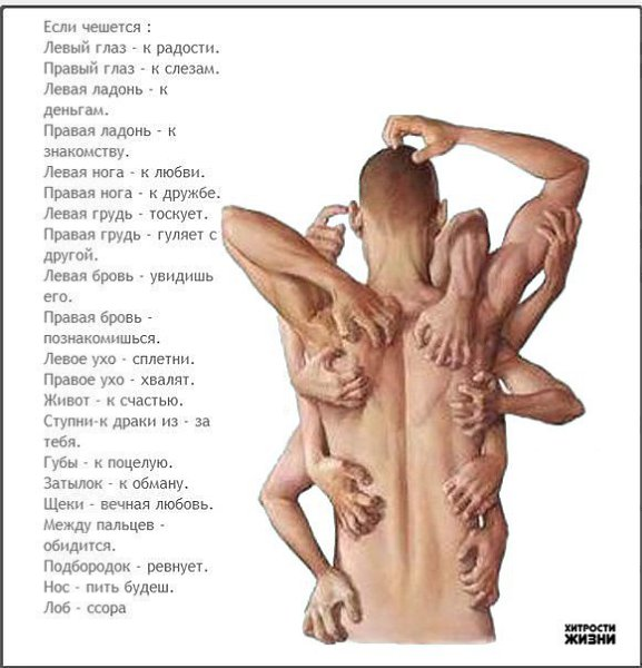 К чему чешется левая ладонь