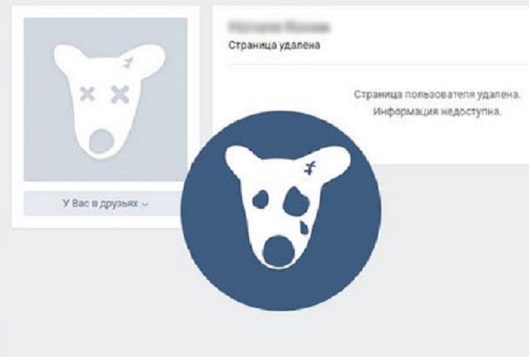 Как заморозить страницу в вк чужую и свою: за что могут заморозить?
