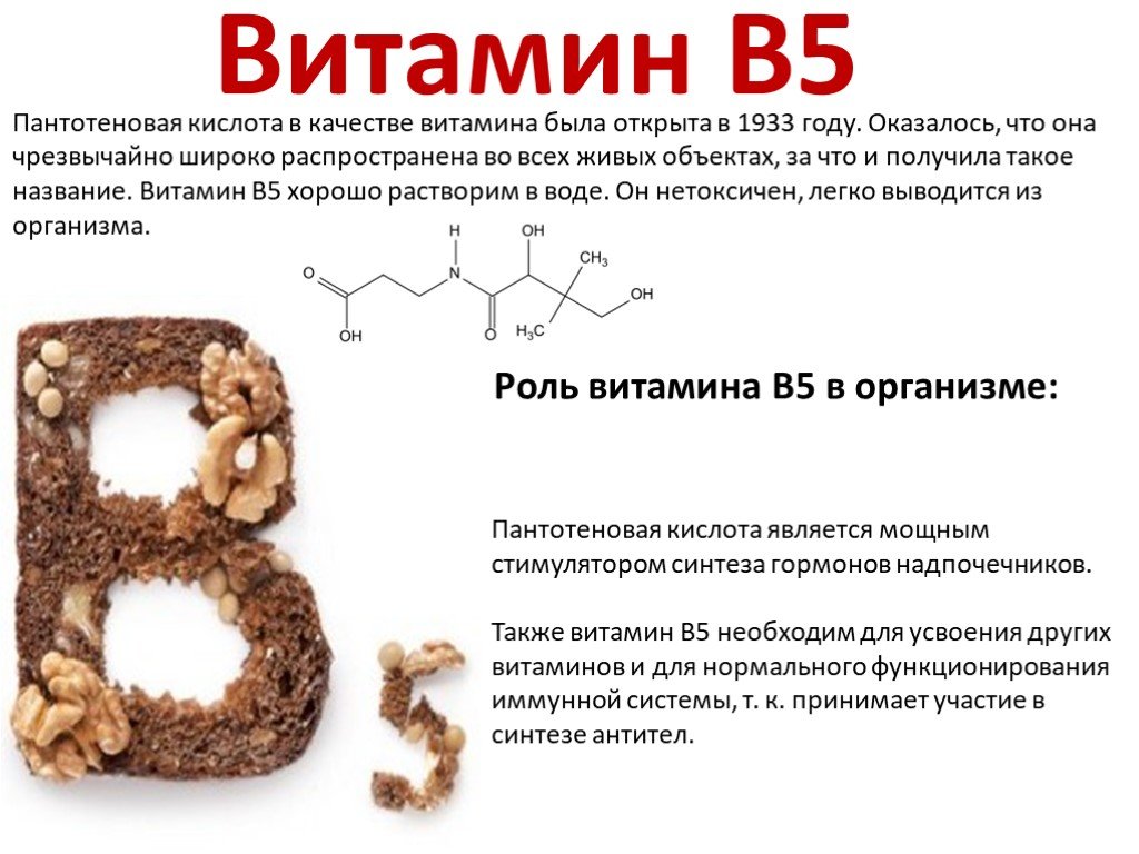 Витамин в4 (холин) – главный защитник печени. витамины и минералы в повседневном питании человека