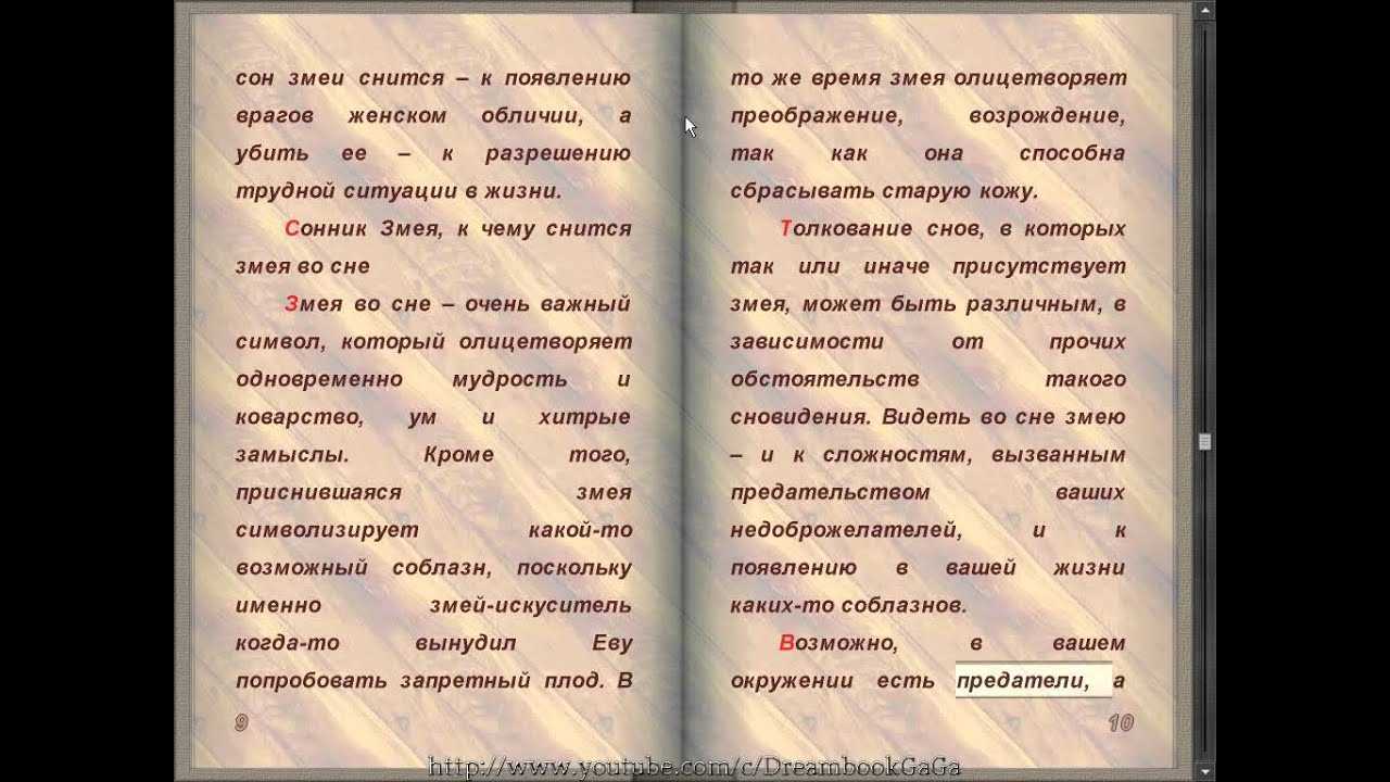 К чему снятся змеи. сонник: змея во сне