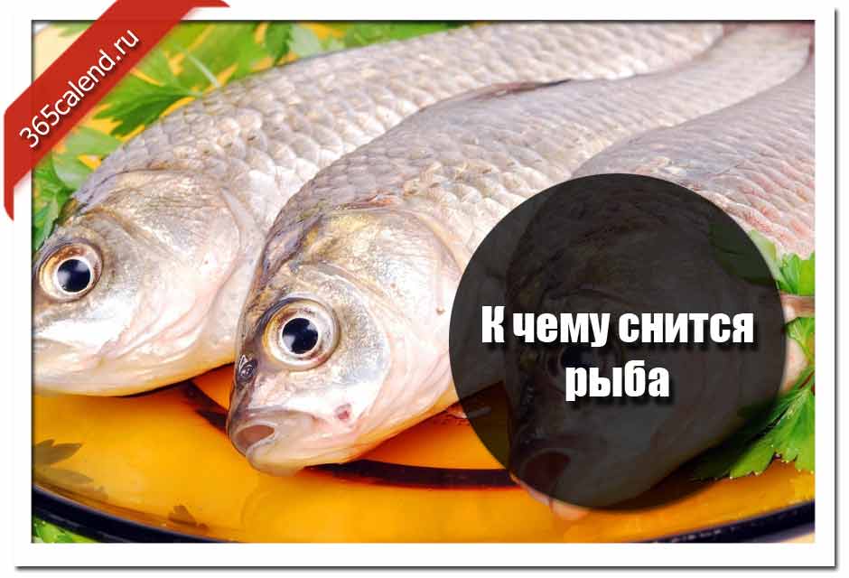 Покупать рыбу во сне - к чему снится? - 6 детальных толкований - сонник покупать рыбу