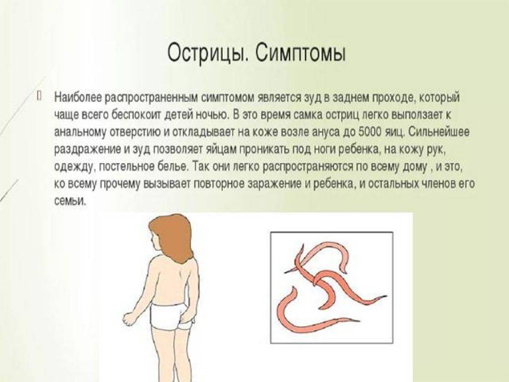 Как передаются глисты от человека к человеку: пути передачи