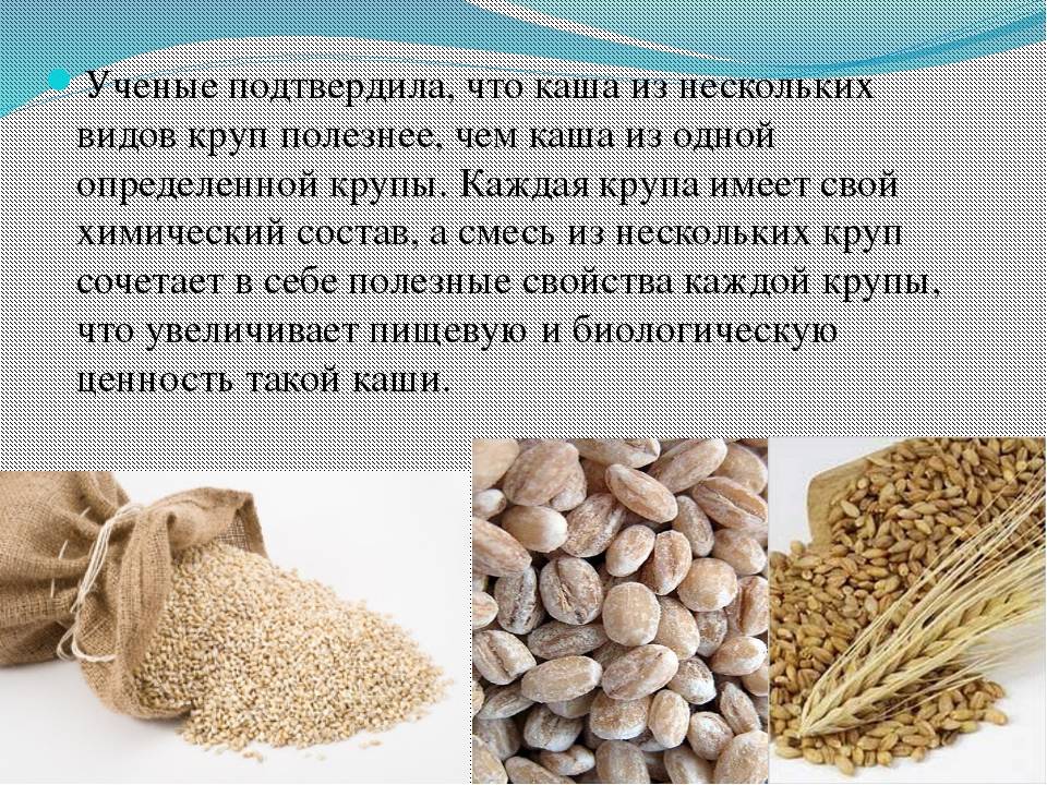 Злак сорго содержание полезных веществ, польза и вред, свойства