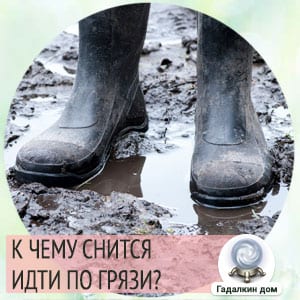 К чему снится грязь в доме, на улице или дороге: толкование по сонникам