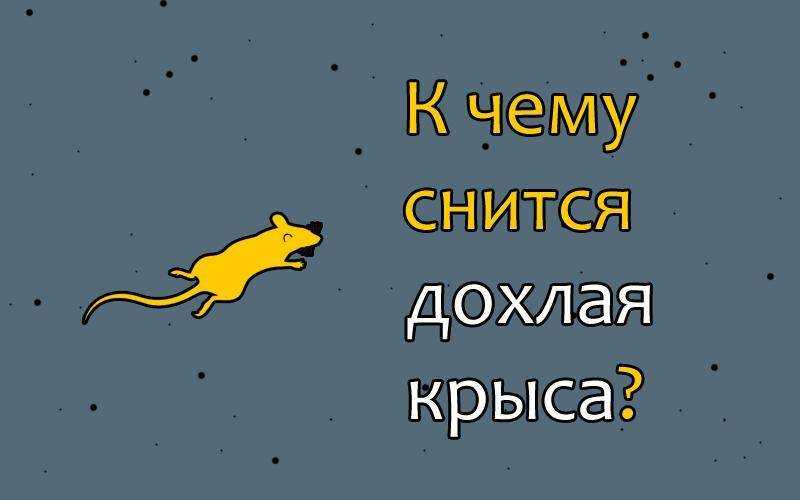 К чему снятся крысы и мыши в одном сне: много, живые, мертвые, в доме, на мне