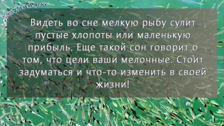 К чему снится  аквариум во сне — по 90 сонникам! если видишь во сне аквариум что значит?