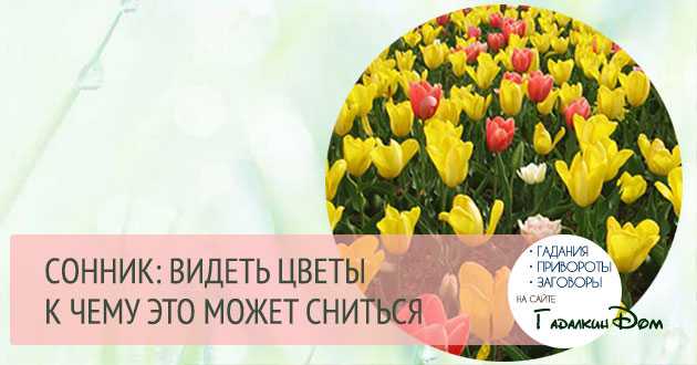 Приснились цветы живые в букетах - ogorod.guru