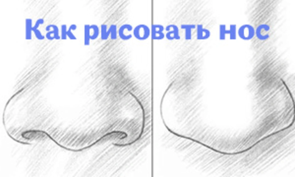 Как нарисовать нос: поэтапно и правильно изобразить человека карандашом