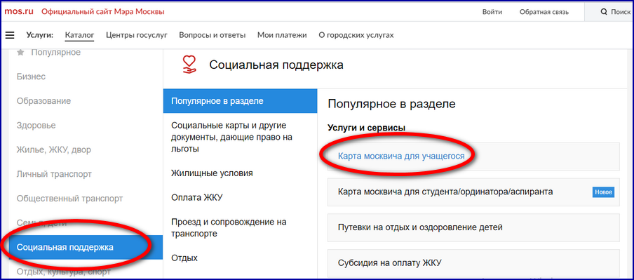 Социальная карта учащегося — проезд на транспорте, как пополнить, как получить?