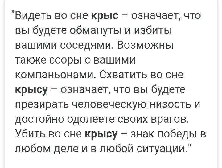 К чему снятся крысы женщинам и мужчинам