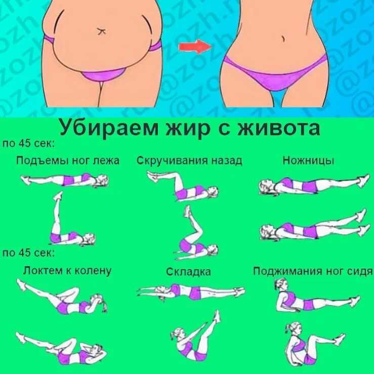 Как избавиться от жира внизу живота — научный метод похудения