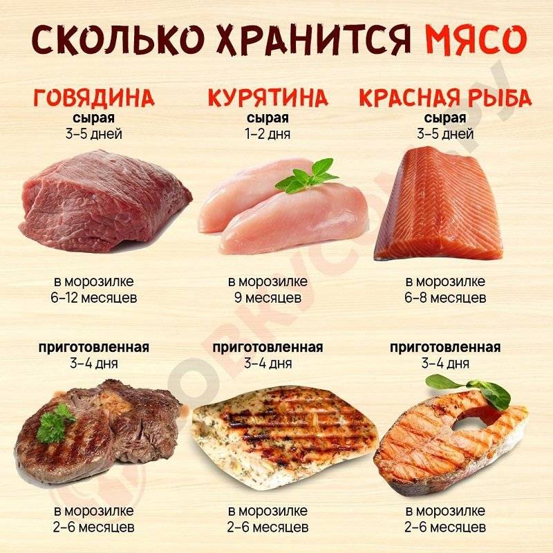 Как хранить в холодильнике мясо и рыбу :: инфониак
