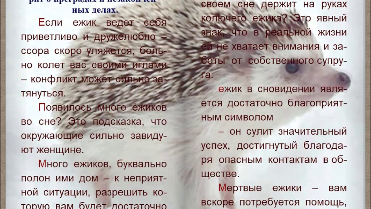 К чему снится ежик Прочитав сонник, мы узнаем об этомЕжик имеет большое количество иголок Они могут символизировать препятствия, нечто скрытое Это может