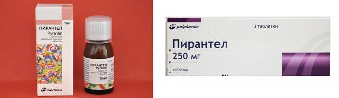 Немозол, пирантел, вермокс, декарис - какой препарат от глистов лучше?