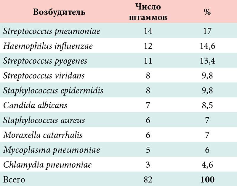 Стрептококк в горле: симптомы и лечение у взрослых пациентов
