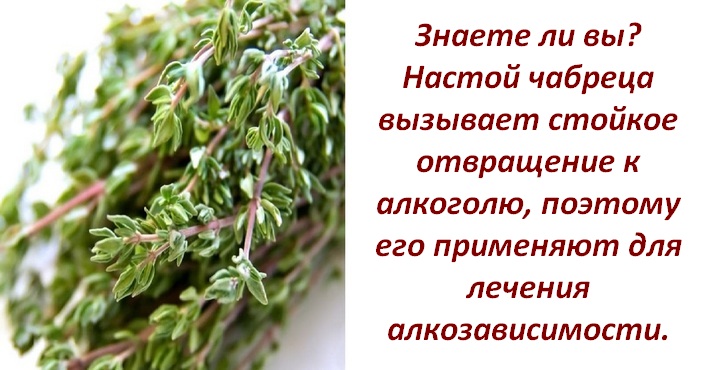 4 вида чая для мужчин, увеличивающих потенцию