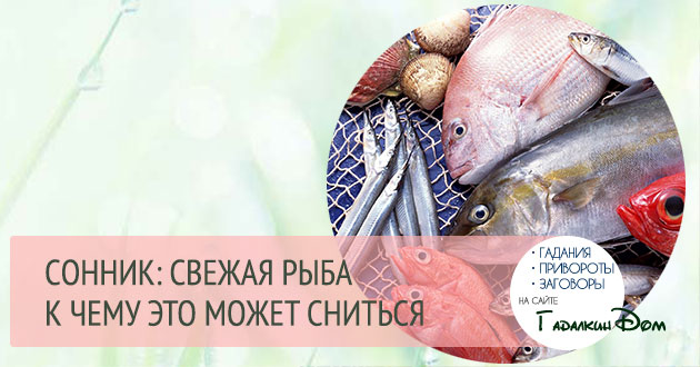 Рыба во сне — что значит сновидение