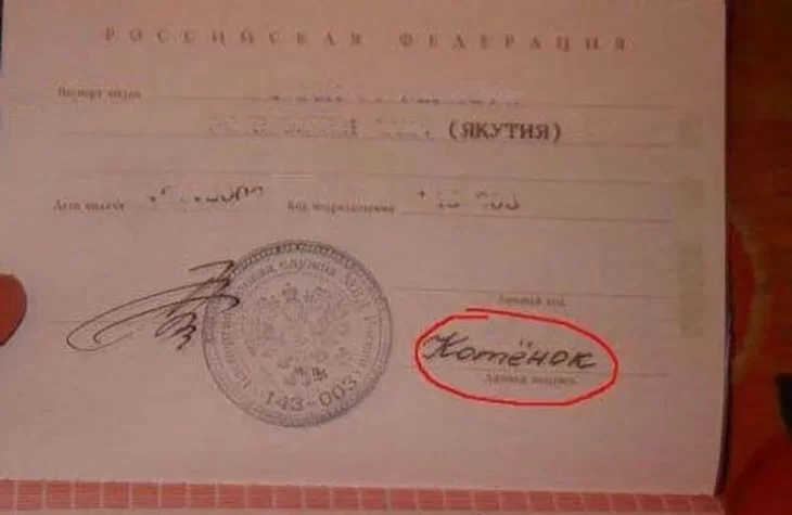 Легкие и красивые роспись на паспорт. как придумать подпись оригинальную и красивую? советы по выбору личной подписи