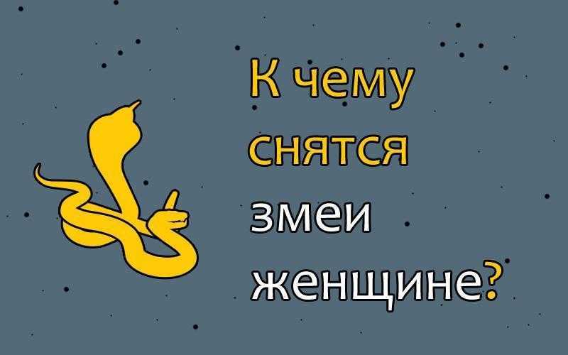 К чему снится зеленая змея? сонник: зеленая змея, укус змеи. толкование снов - tolksnov.ru