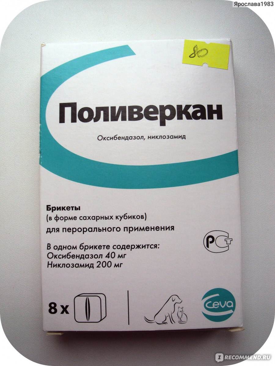 Никлозамид при бычьем цепне