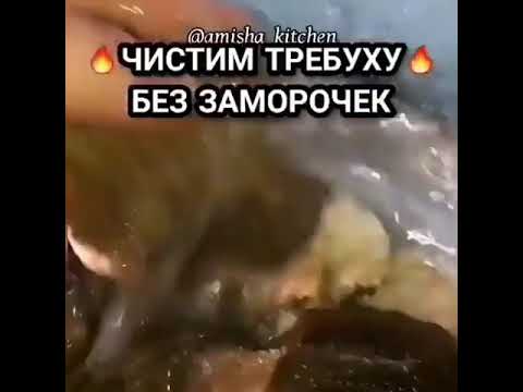 Как отмыть рубец говяжий. как почистить требуху говяжью быстро в домашних условиях чтобы не было запаха. рулет из рубца говяжьего