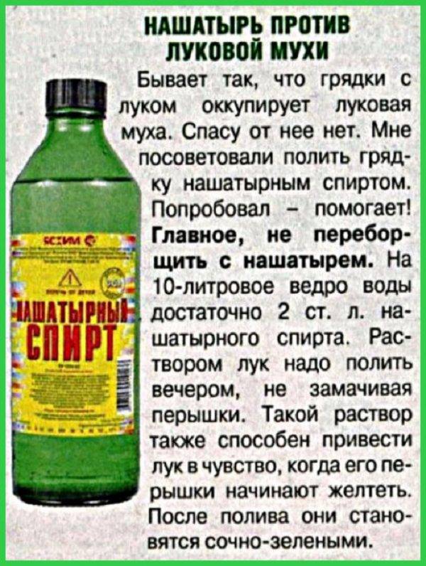 Нашатырный спирт - инструкция по применению раствора, действие на организм и меры предосторожности