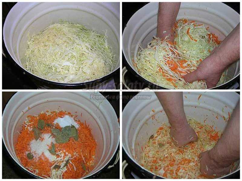 Квашеная капуста на зиму в банке: 5 очень вкусных рецептов