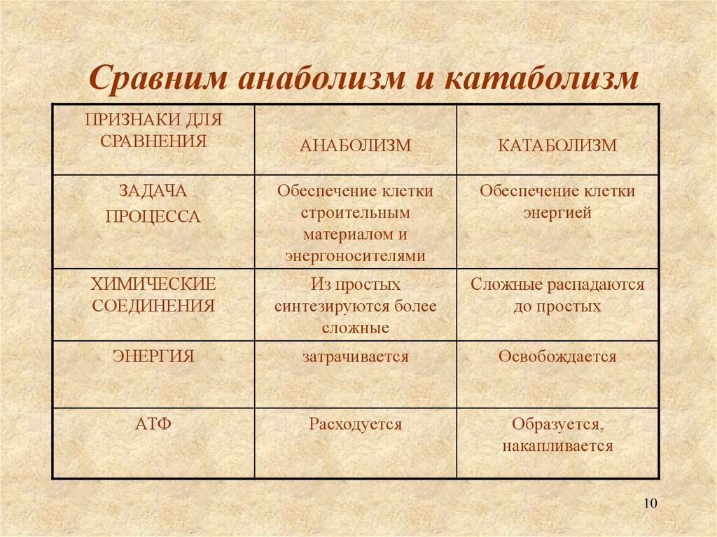 Катаболизм и анаболизм — противоположные процессы в организме. почему зачастую для их описания используют общий термин «метаболизм»? приведите не менее 3-х обоснований
