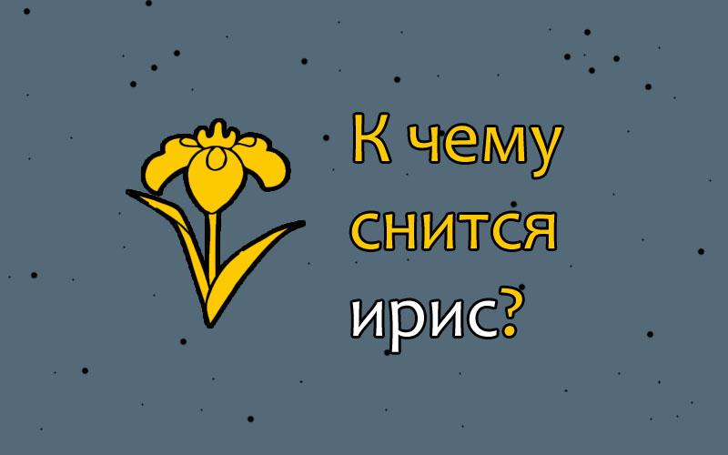 К чему снятся цветы живые в букетах сонник ванги